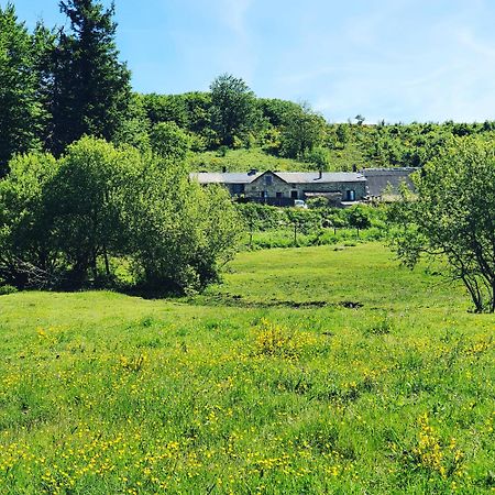 Ranch Du Haut-Languedoc La Salvetat-sur-Agout Eksteriør bilde