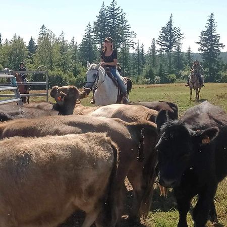 Ranch Du Haut-Languedoc La Salvetat-sur-Agout Eksteriør bilde